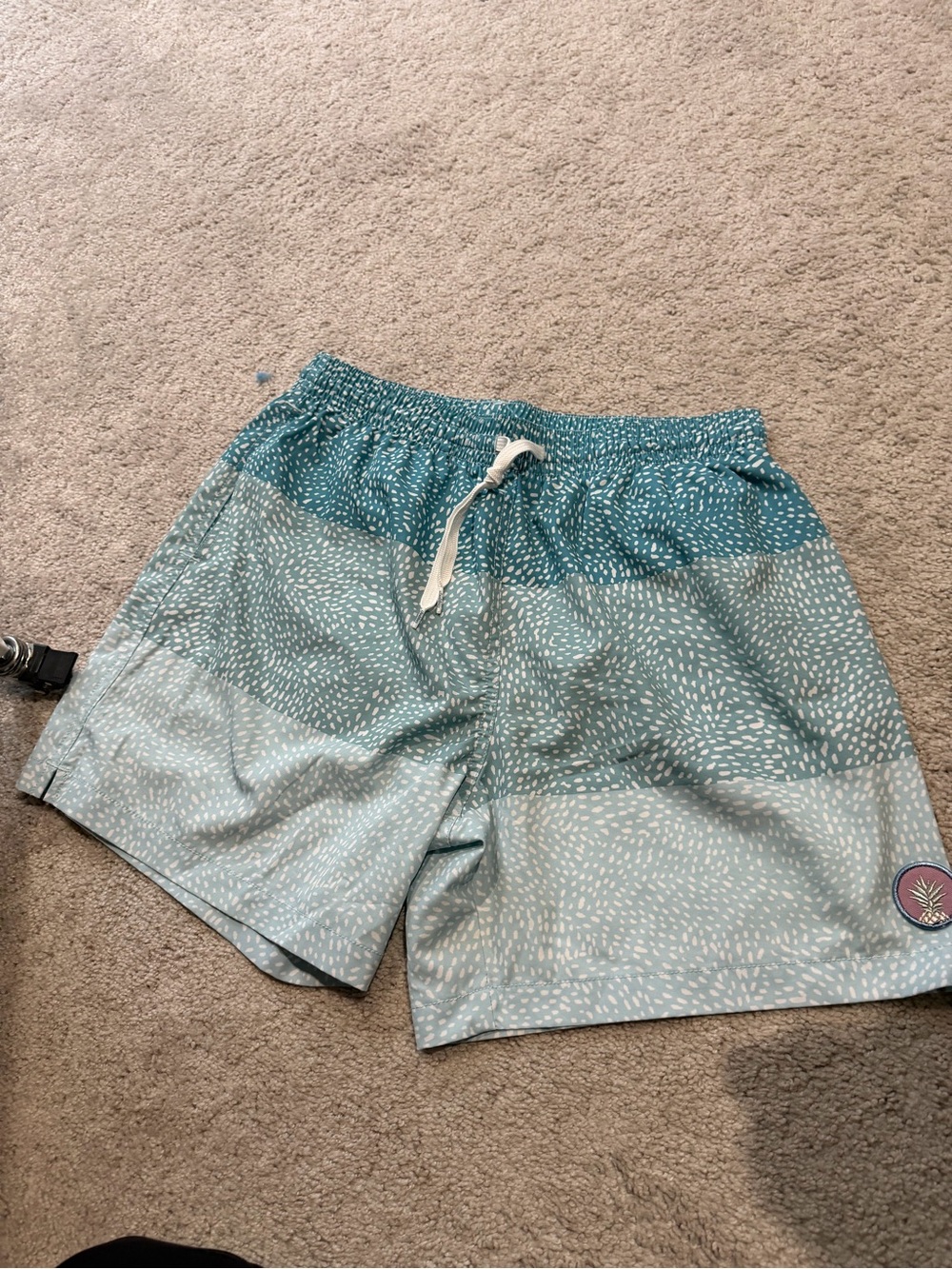 Chubbies The Whale Sharks Swim trunks
